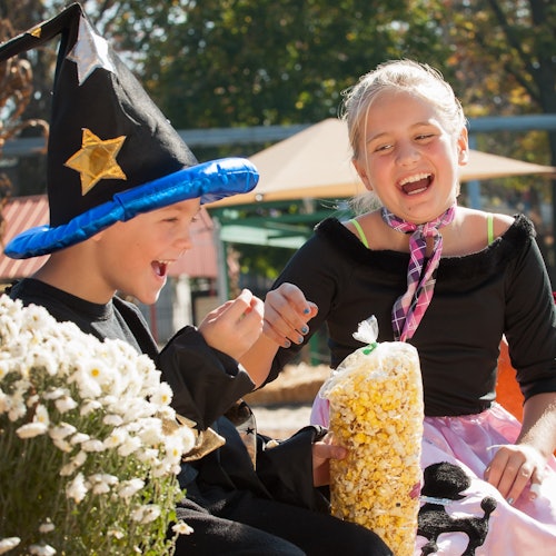 荷蘭奇境:快樂鬧鬼