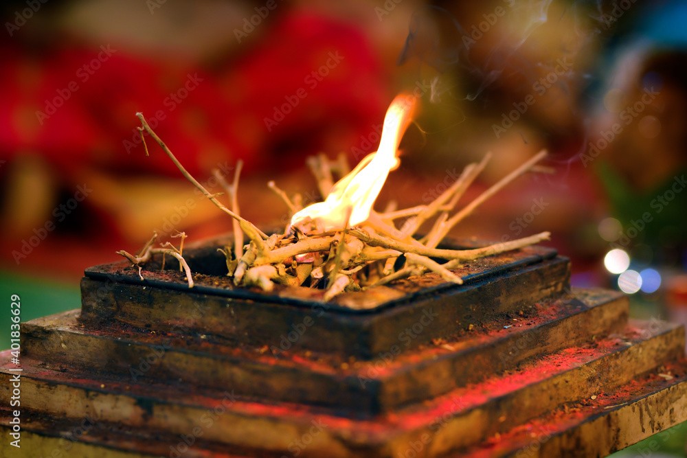 A serene outdoor wedding setup with white chairs arranged on green grass under a canopy of trees.