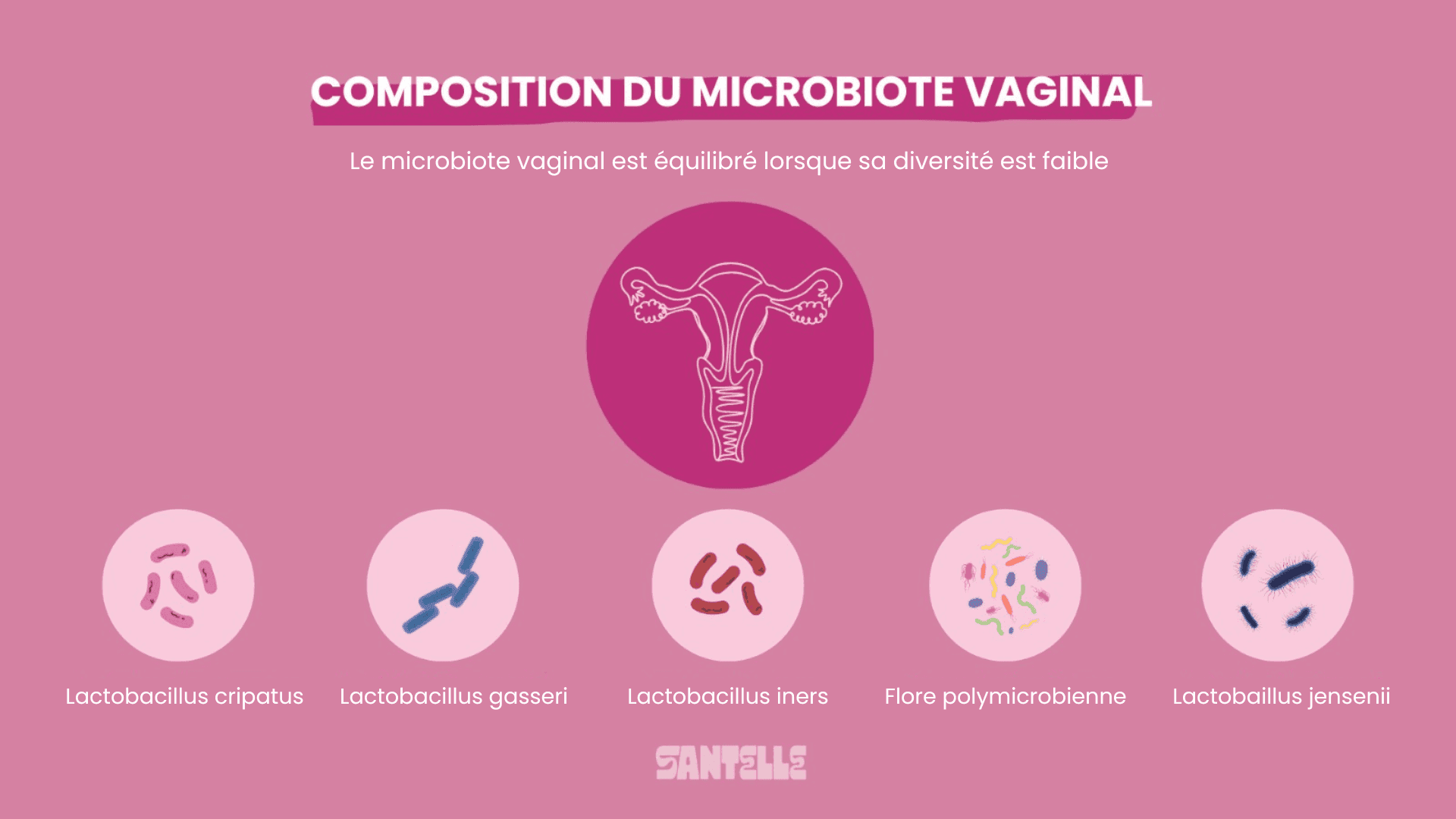 composition du microbiote vaginal Santelle