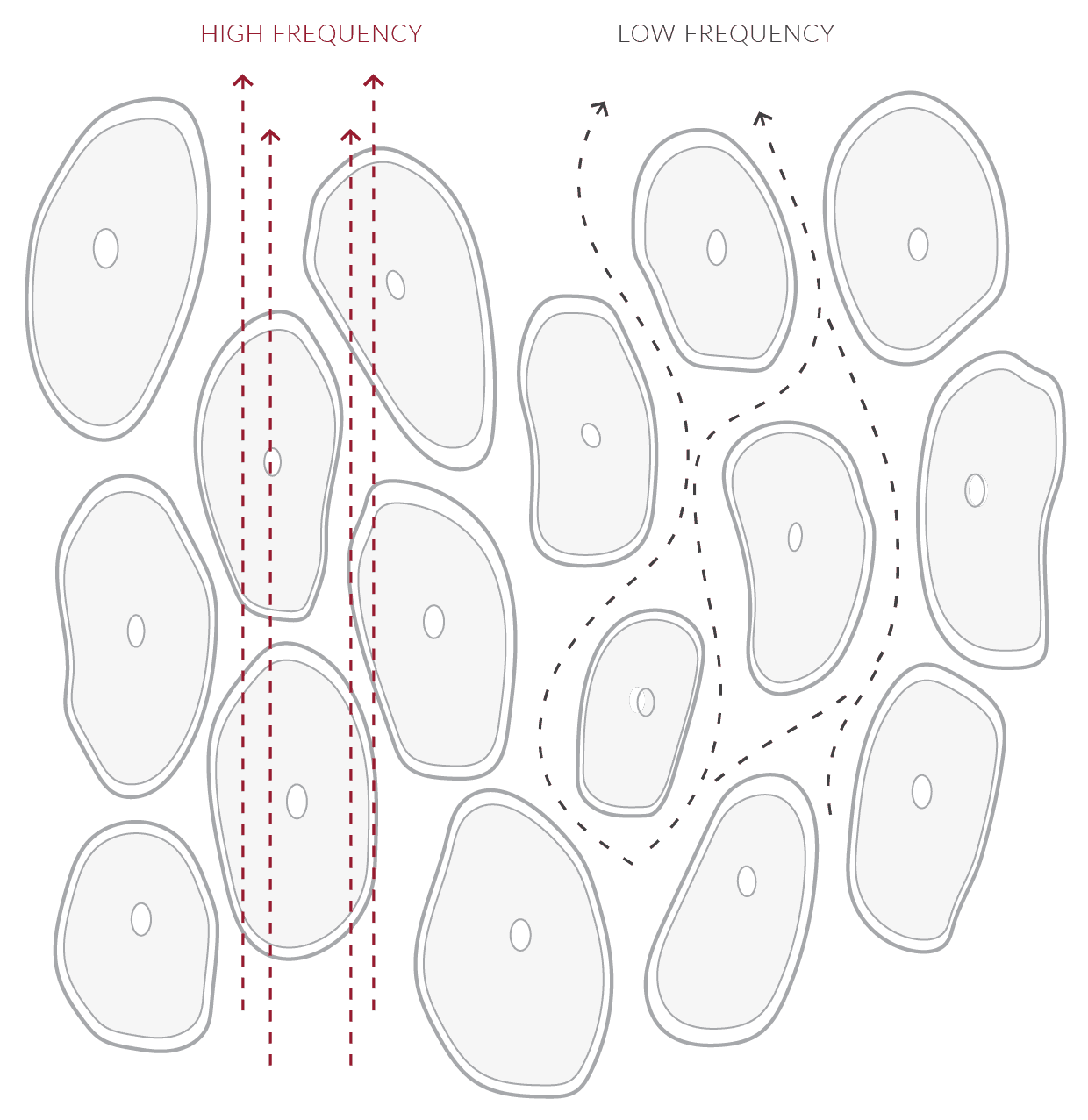 Low Frequency vs High Frequency