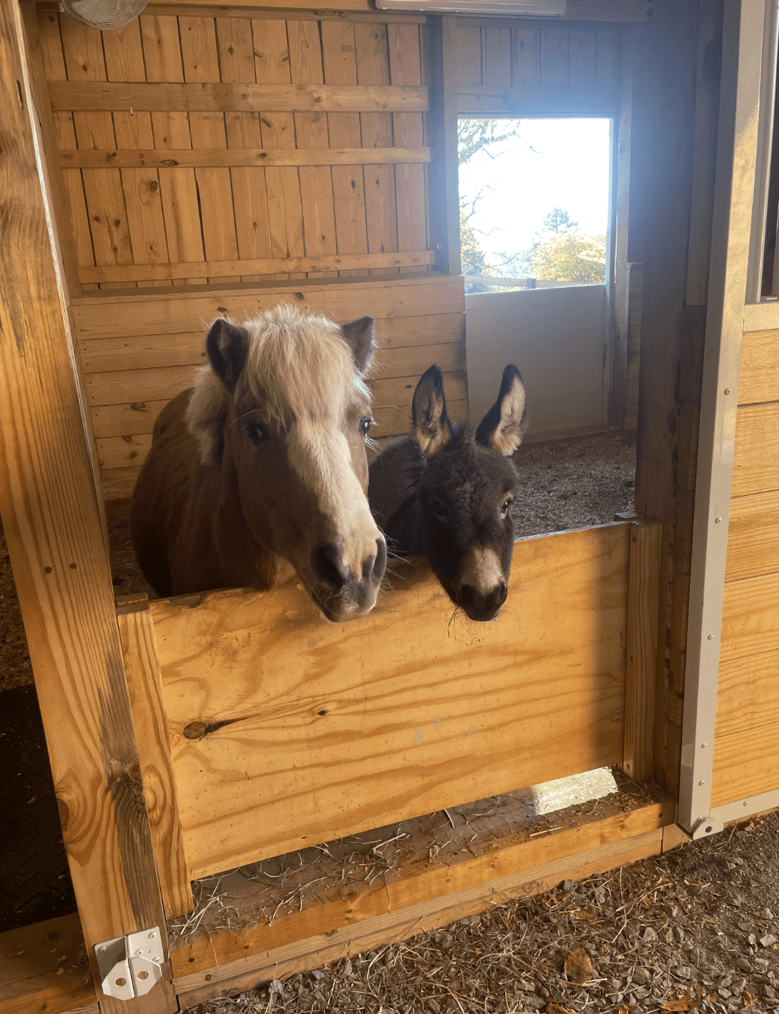 Modern red brick apartment or office building viewed from below against a blue sky, showcasing its geometric architecture with evenly spaced windows and balconies.