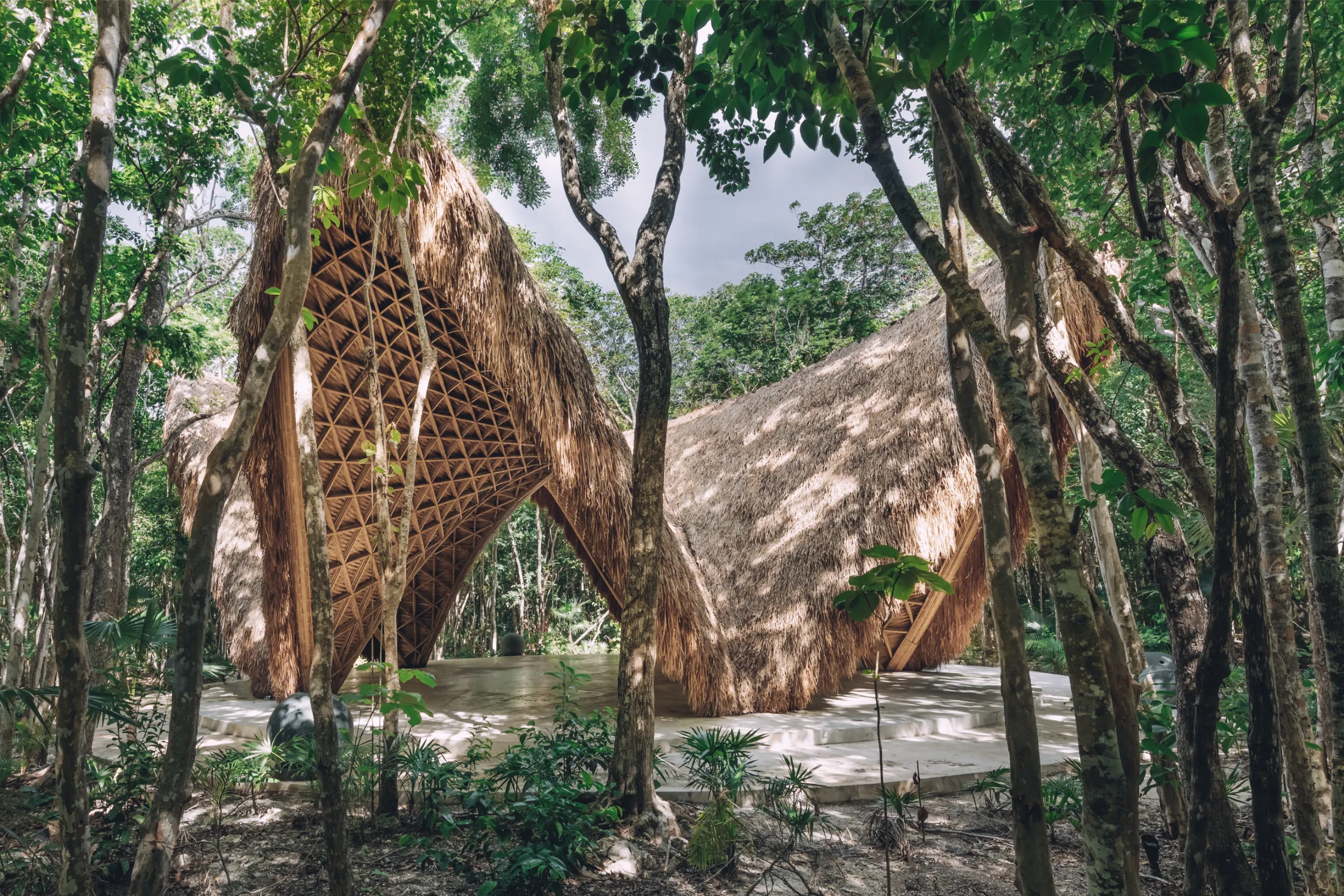 The sustainable bamboo structure of Luum Temple viewed through the dense native jungle surrounding Luum Zama in Tulum.
