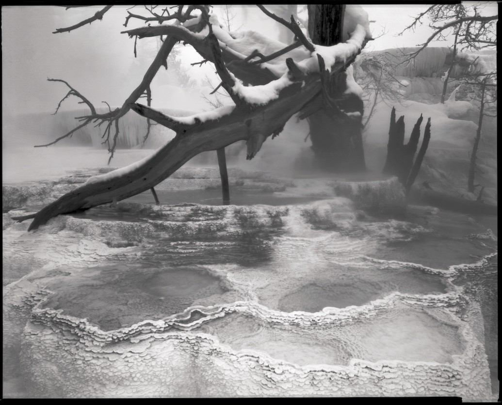 Yellowstone Tarratine Pools 1989 by Terry Thompson