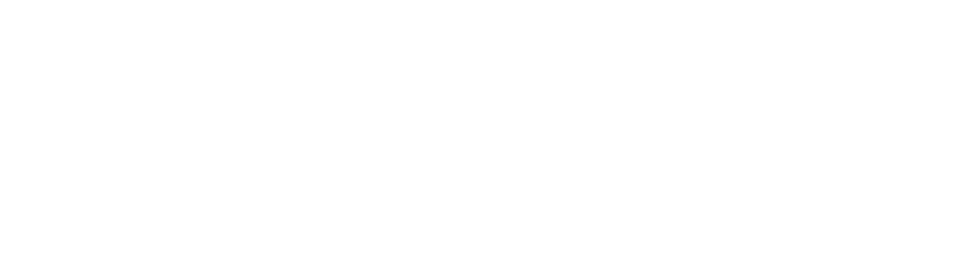 Wise3 Ventures Logo