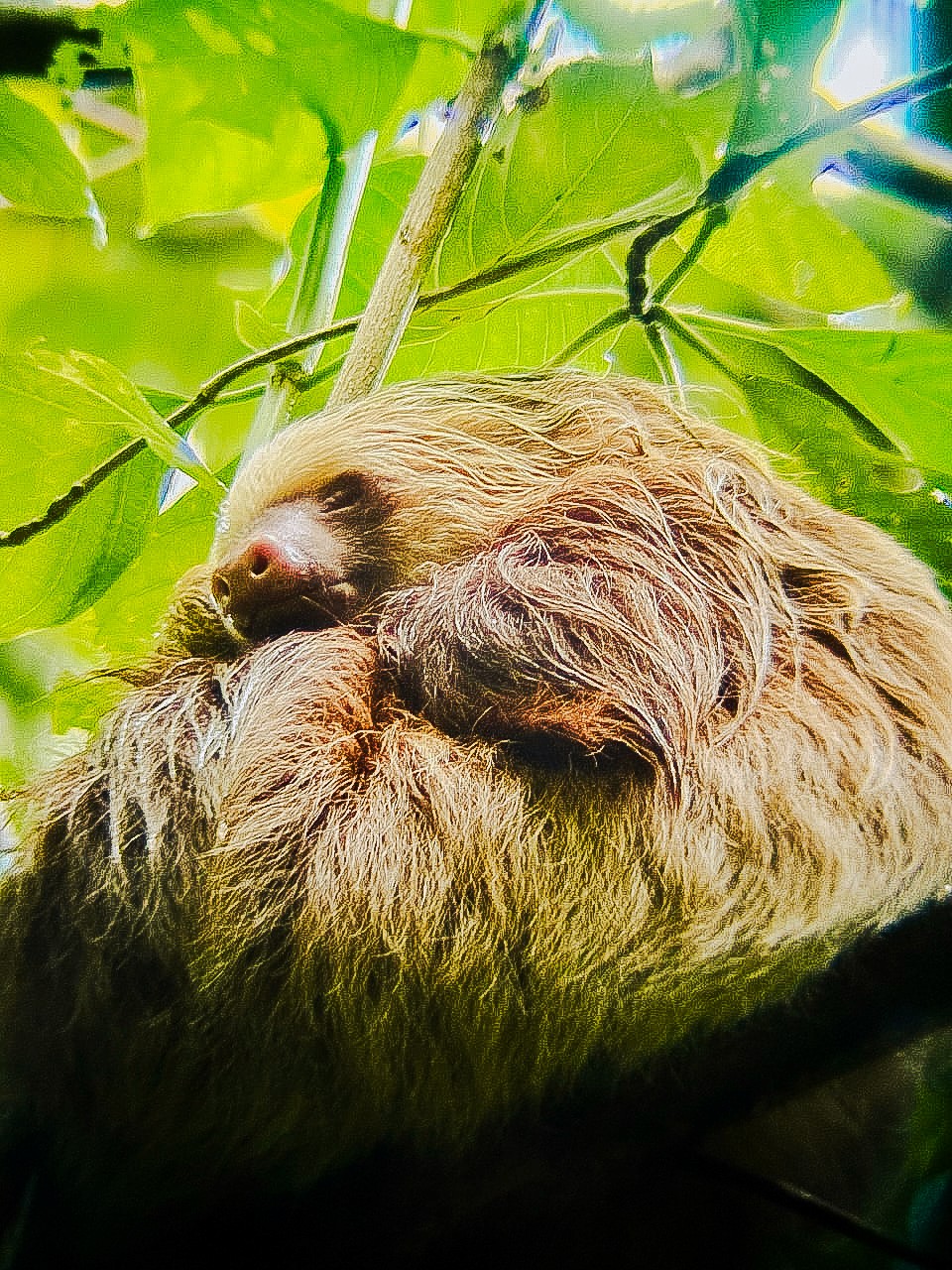 Group of people standing in a grassy field