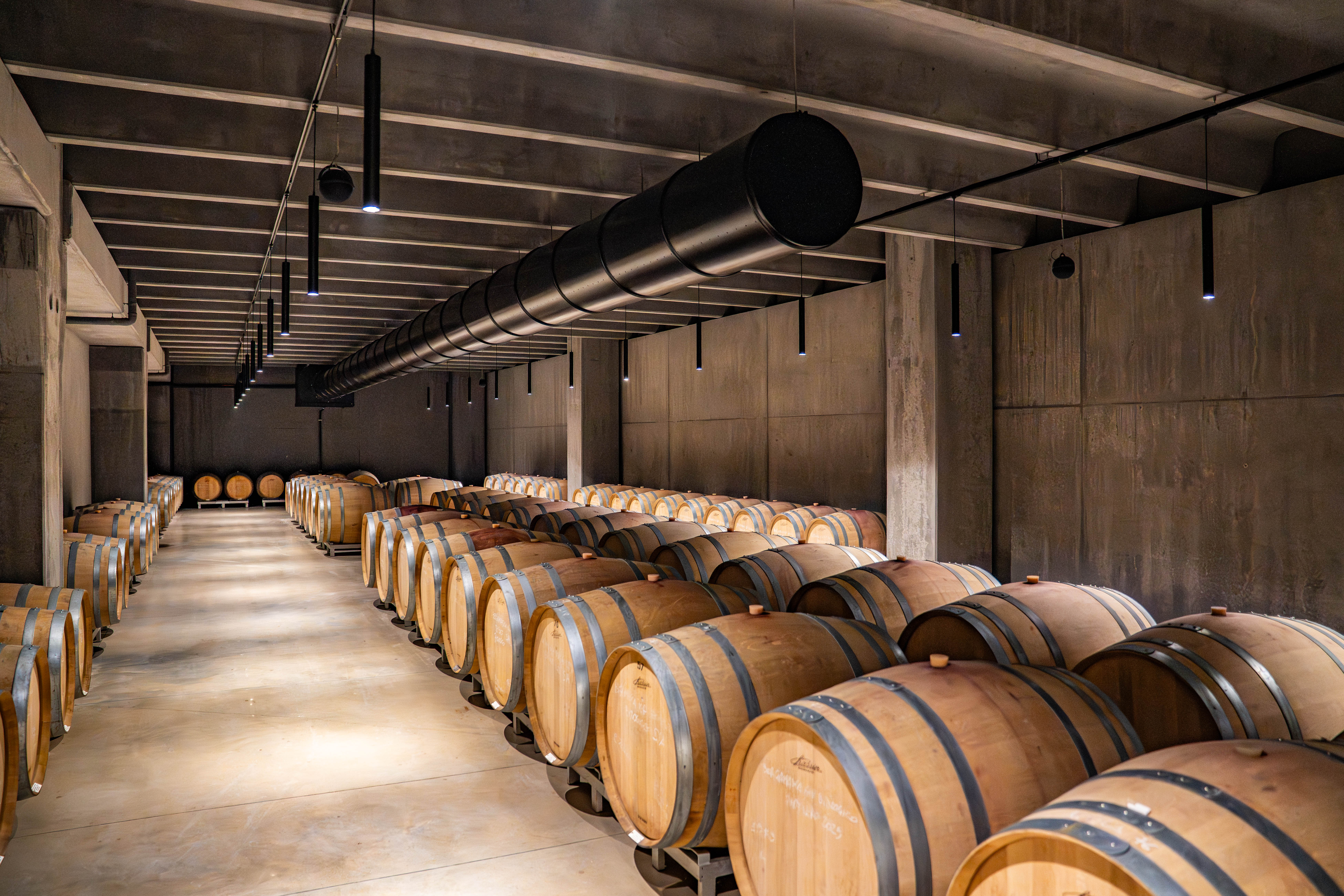 Scientist in laboratorium