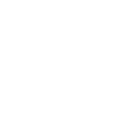 Skype Icon