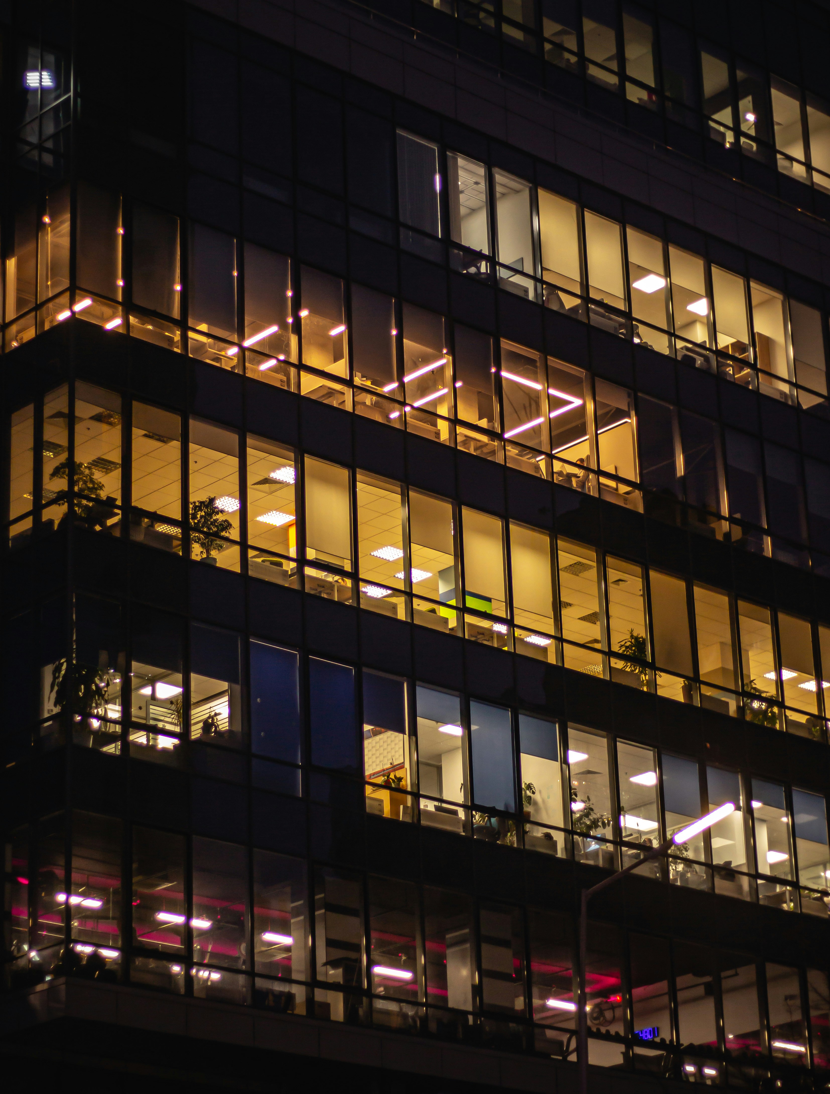 Aerial view of a winding road surrounded by dense green and yellow trees, showcasing nature’s vibrant colors.