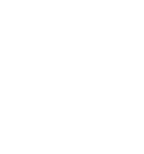 Threat Intelligence Services Icon