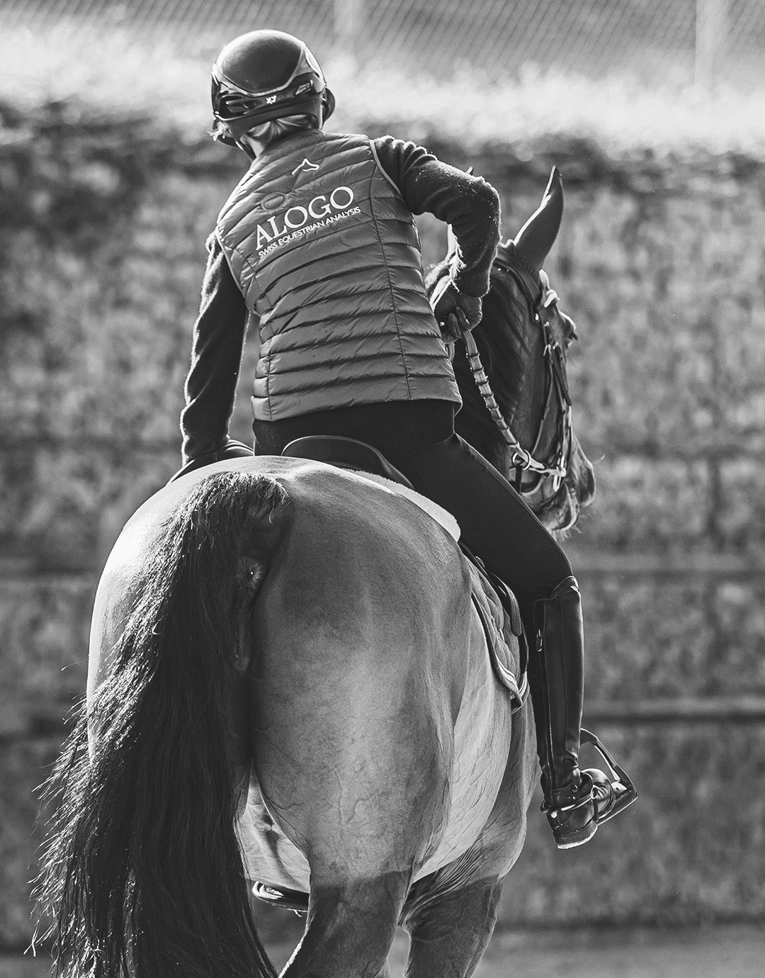designer-cheval