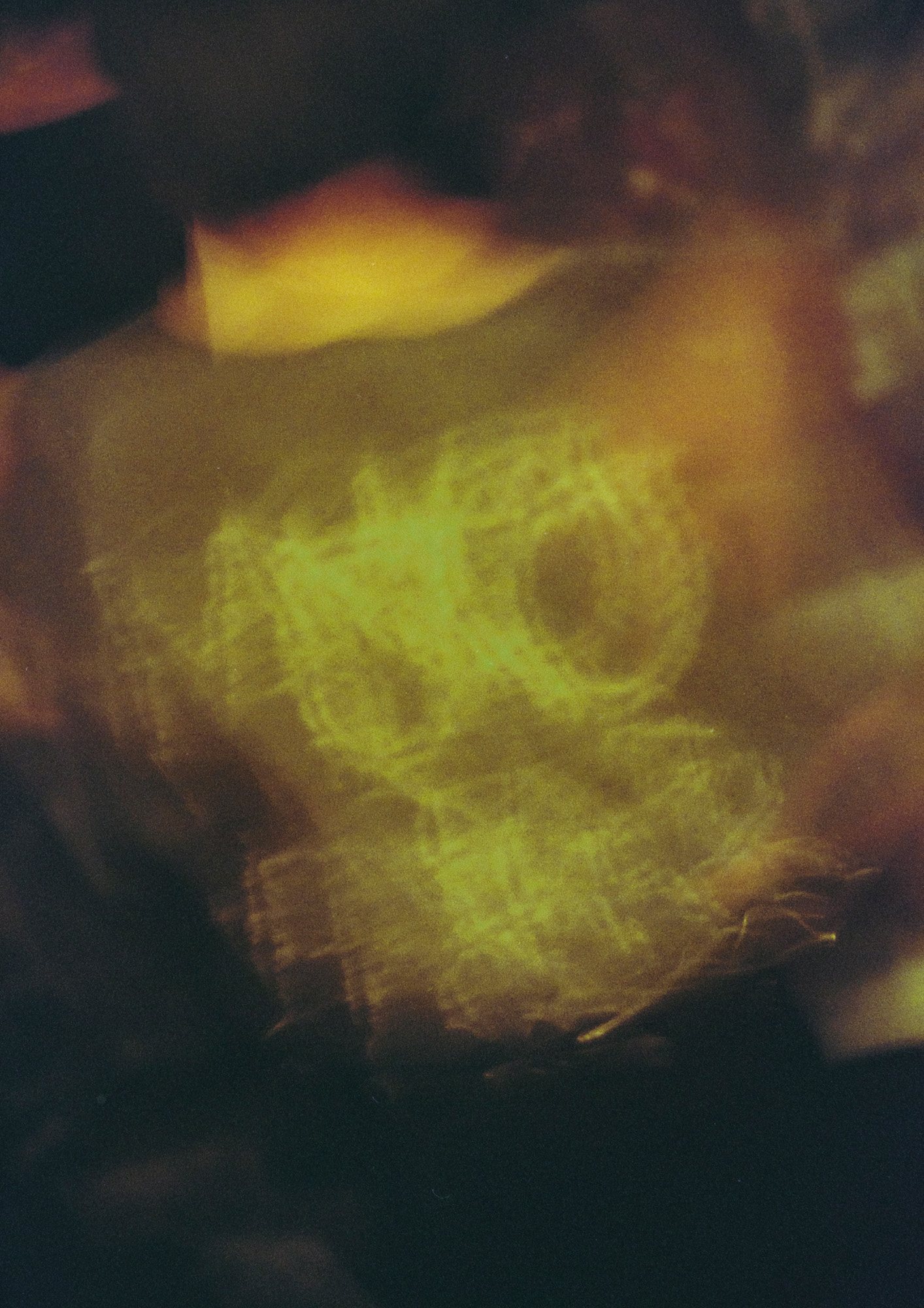 Taisei Matsumoto, 2022 exhibition work 030