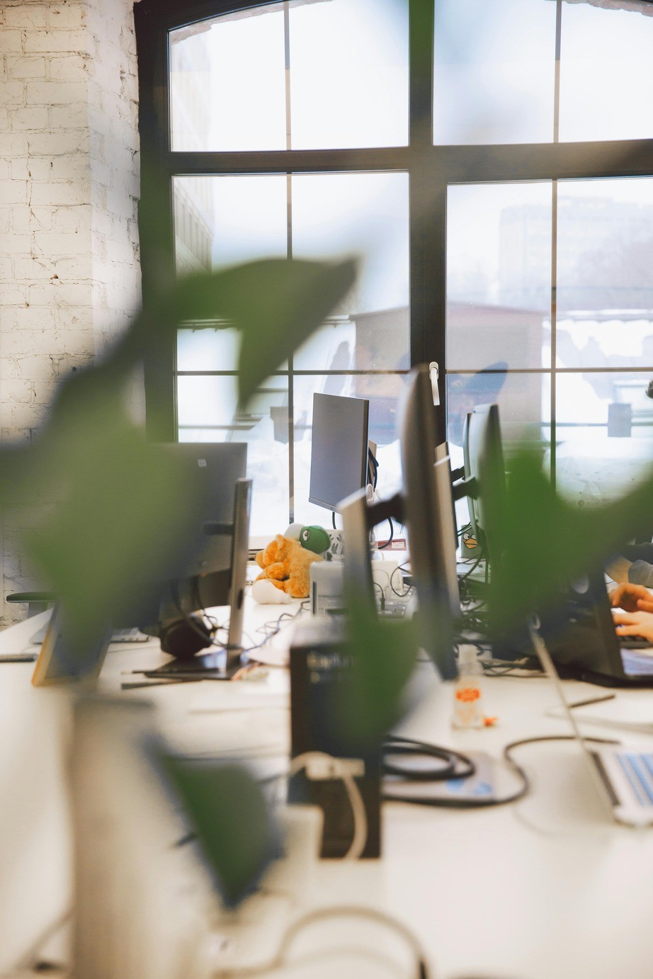 devotion office background.