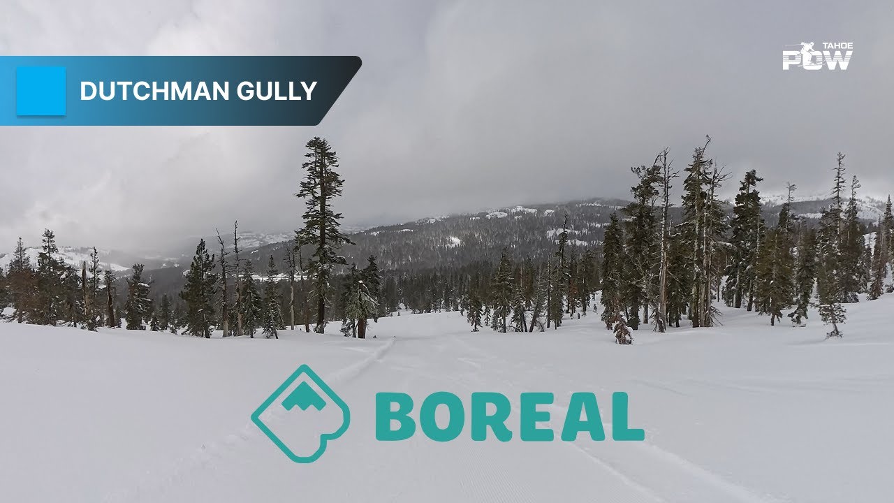 Dutchman Gully Boreal – Scenic Intermediate Run via Lost Dutchman
