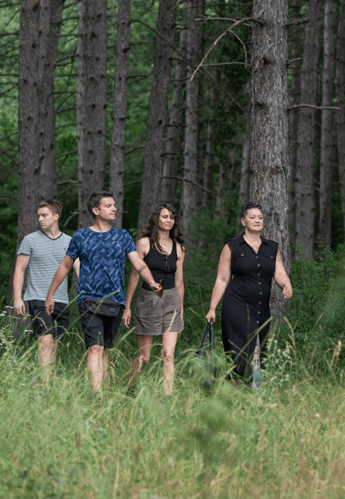 foggy mountain summit