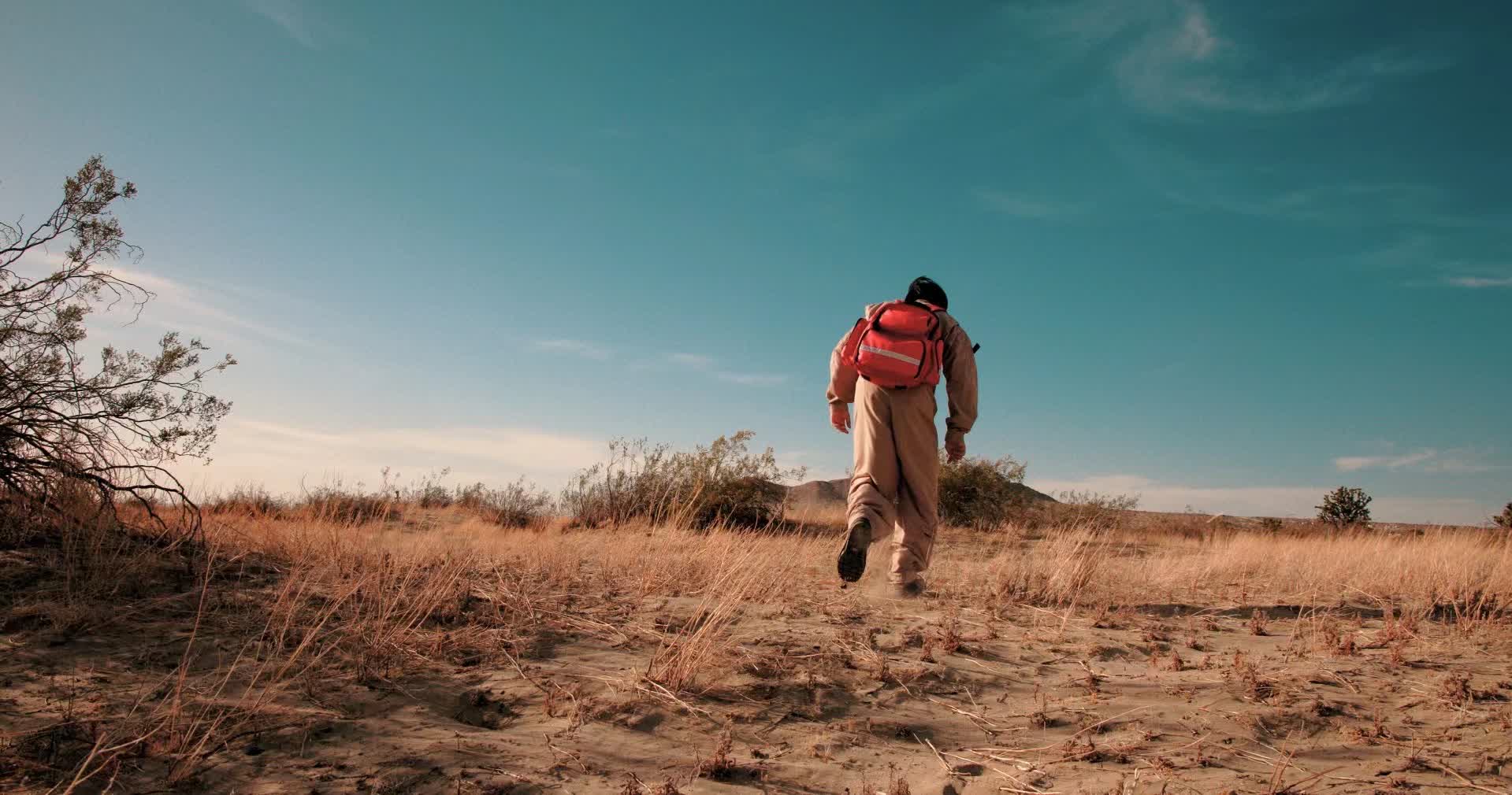 Sport car from the top