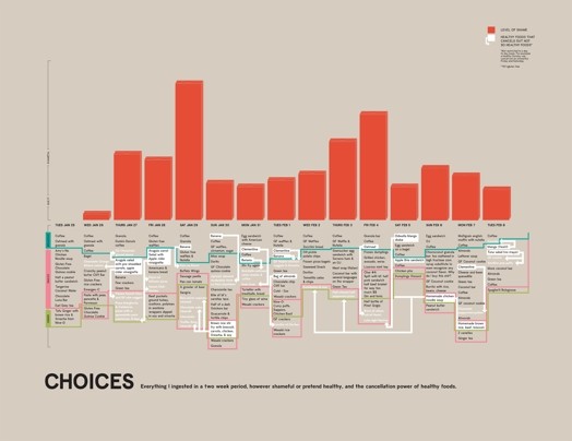 a graph with solid orange bars and with the title Choices