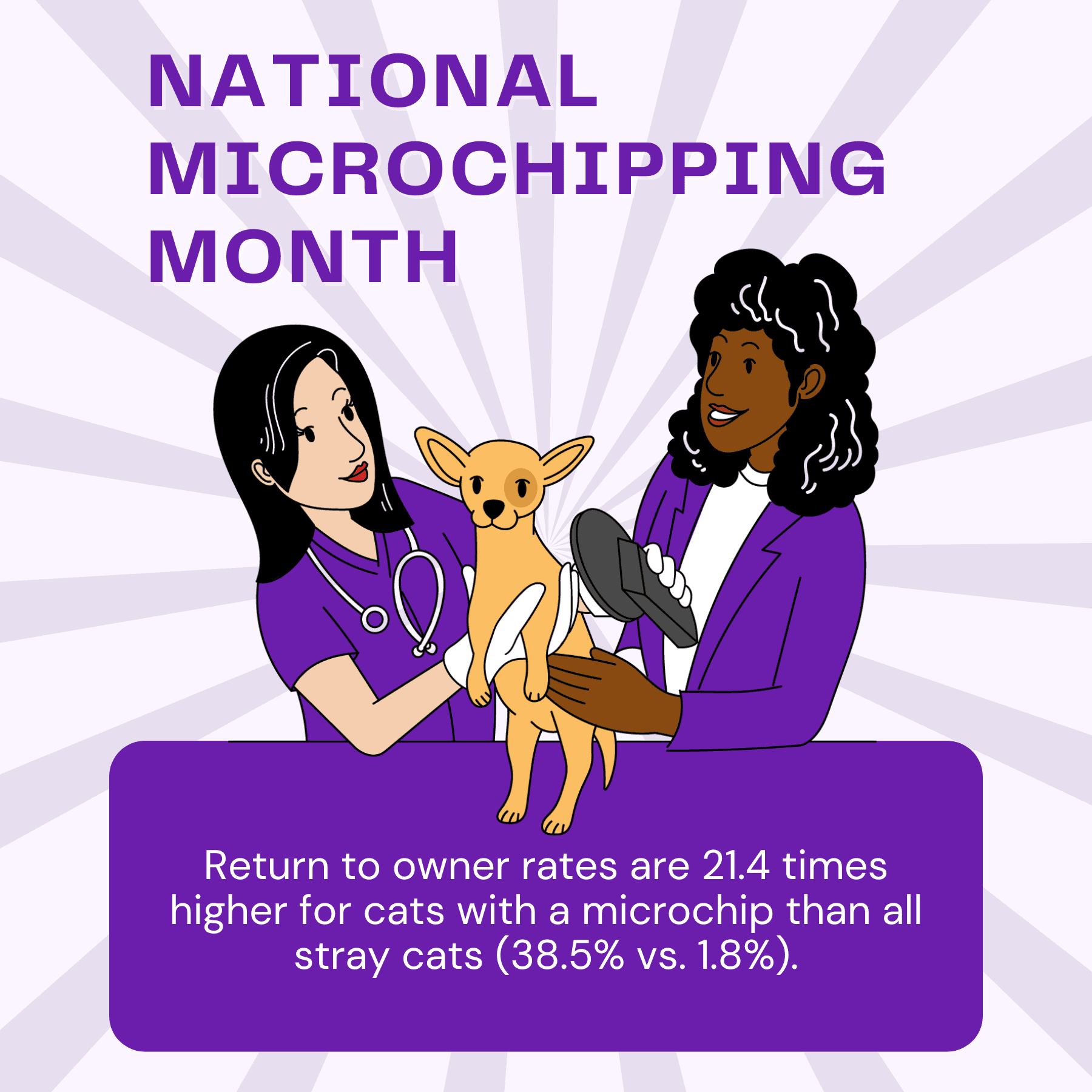National microchipping month social graphic