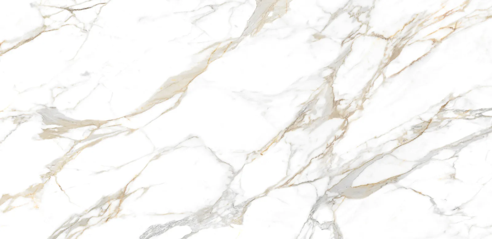 Neolith Calacatta Roma porcelain slab