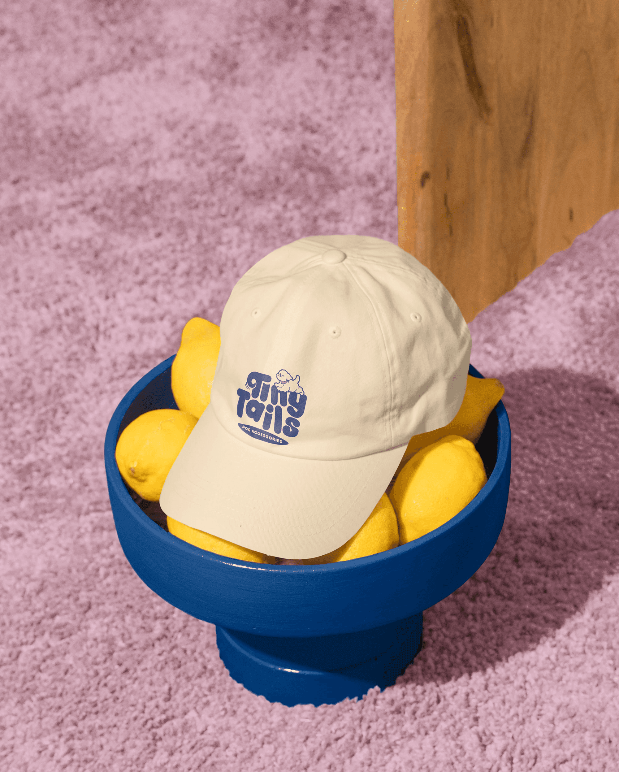 tiny tails, business, dog accessories, illustration, logo, character design, mascot design