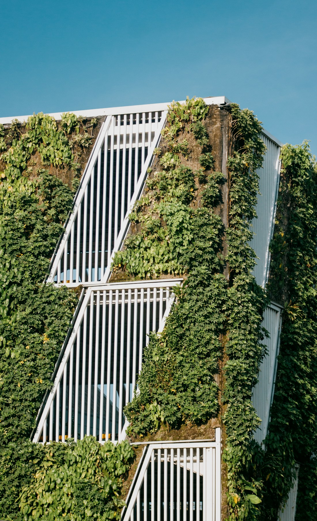 White slatted building facade covered in green climbing plants under a blue sky