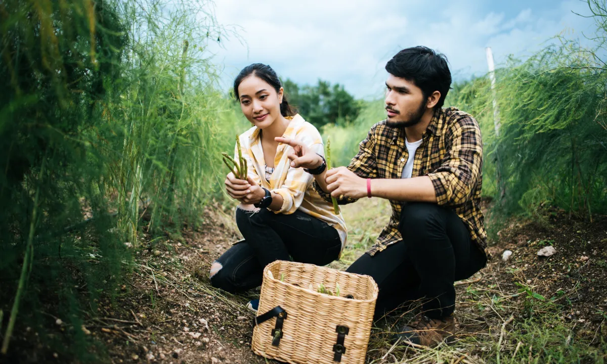 What Is Sustainable Living? A Beginner's Guide Through Farm Stay Experiences