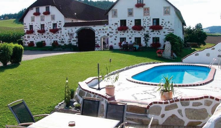 Close-up of lush, dark green leaves, some glossy and wet, against a muted background.