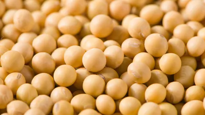 Soybeans