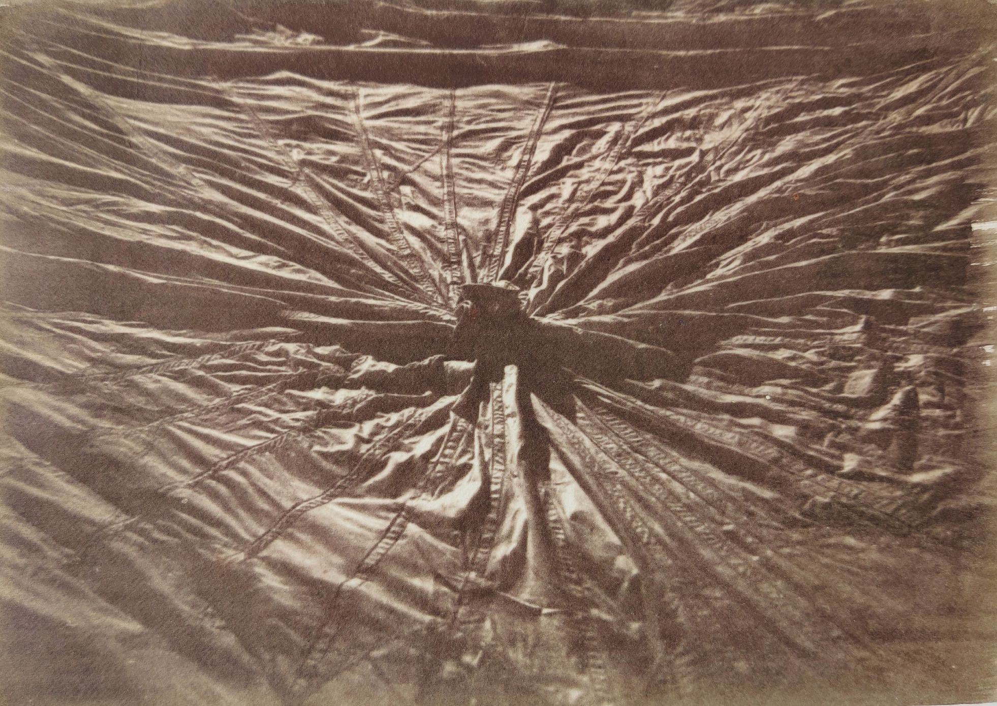 herd of sheep on road painting