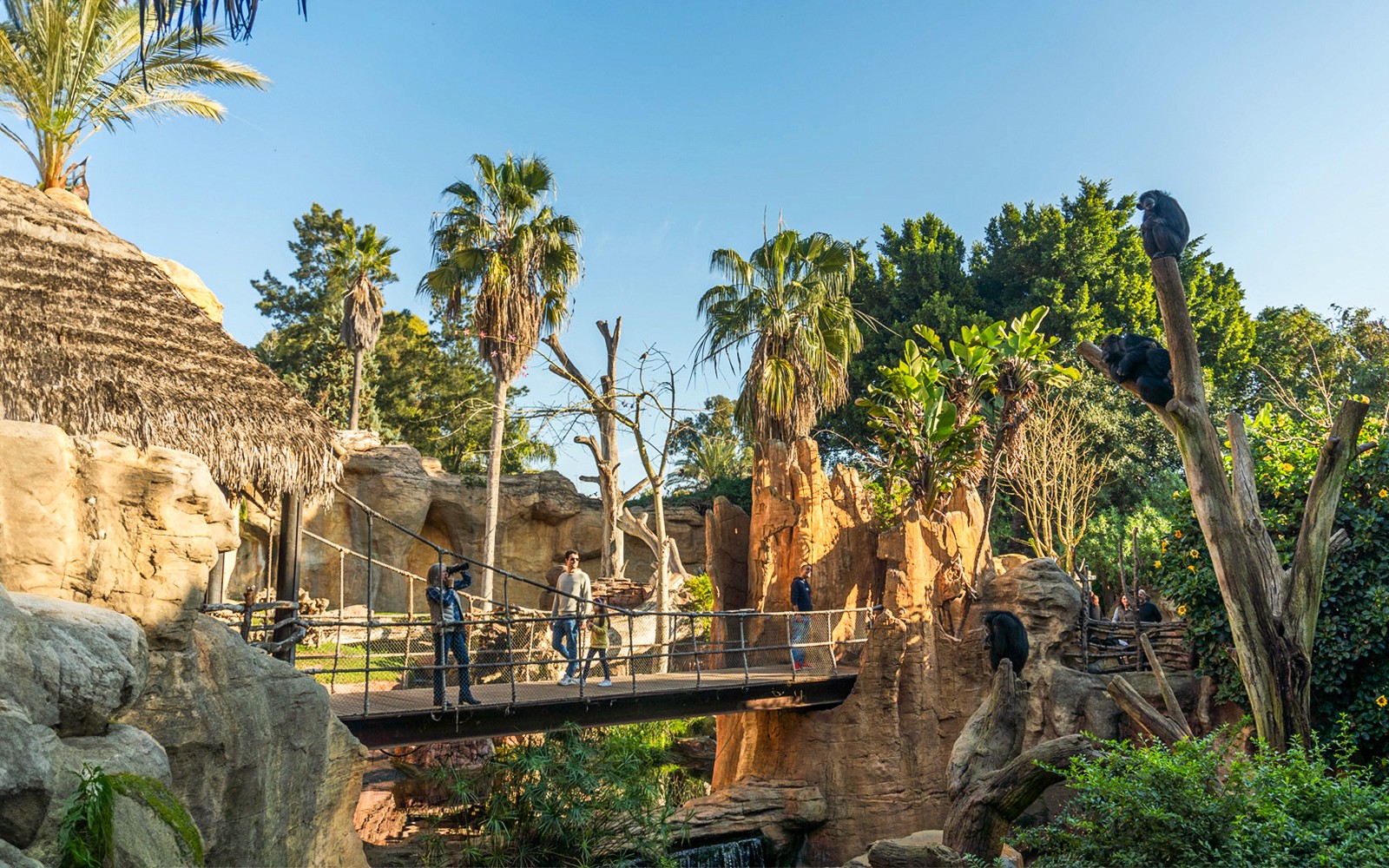 Visitors on a wooden bridge at Bioparc Fuengirola, Spain, surrounded by lush greenery and primates.