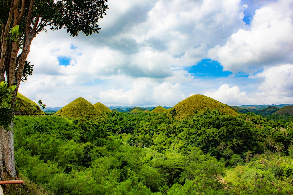 green trees and mountain under blue sky and white clouds during daytime