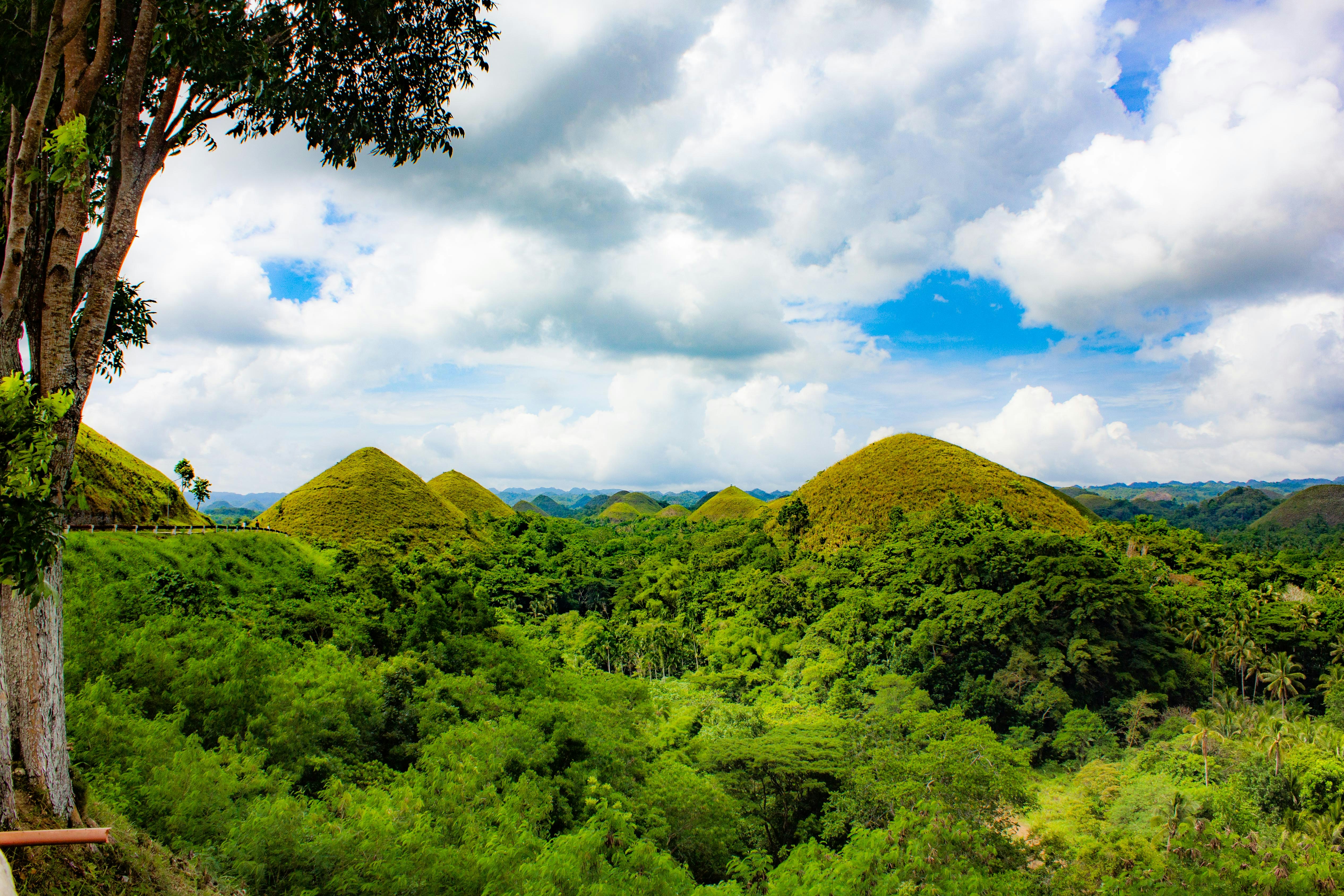 green trees and mountain under blue sky and white clouds during daytime