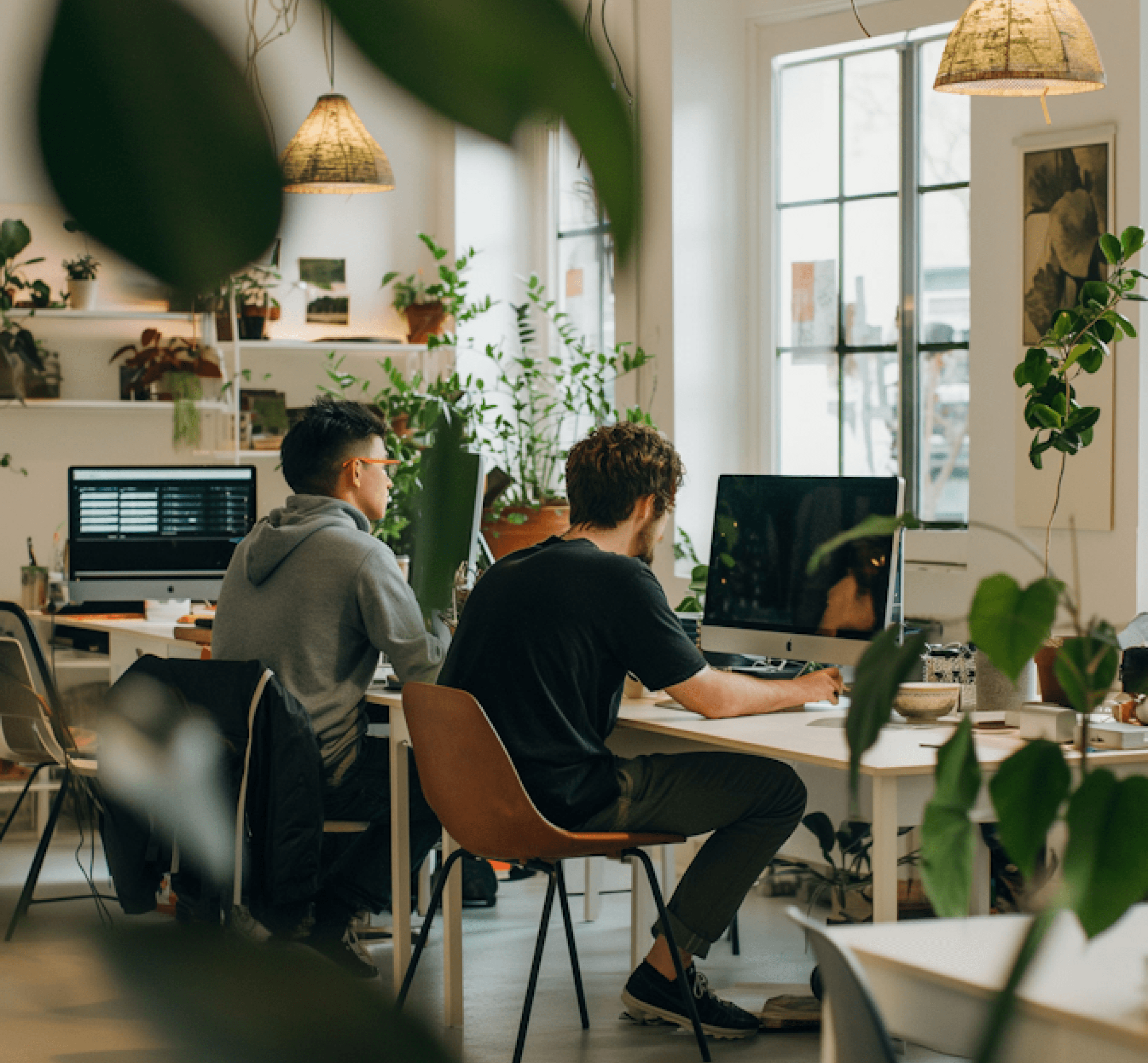Two people working at desks in a bright, plant-filled office.