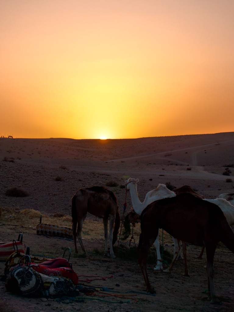 sunset in the agafay desert