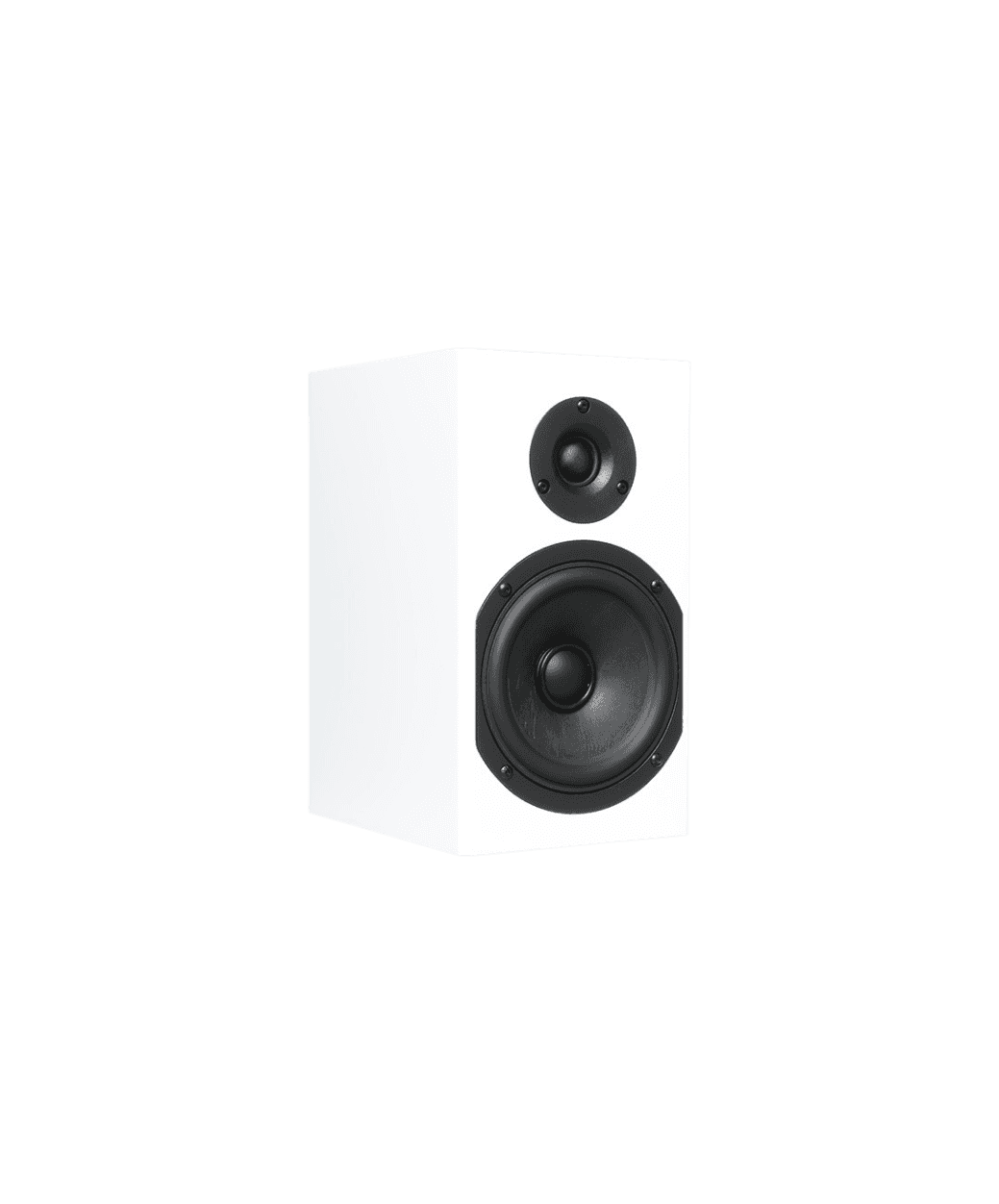 Totem Loon Blanc - LE STUDIO HIFI