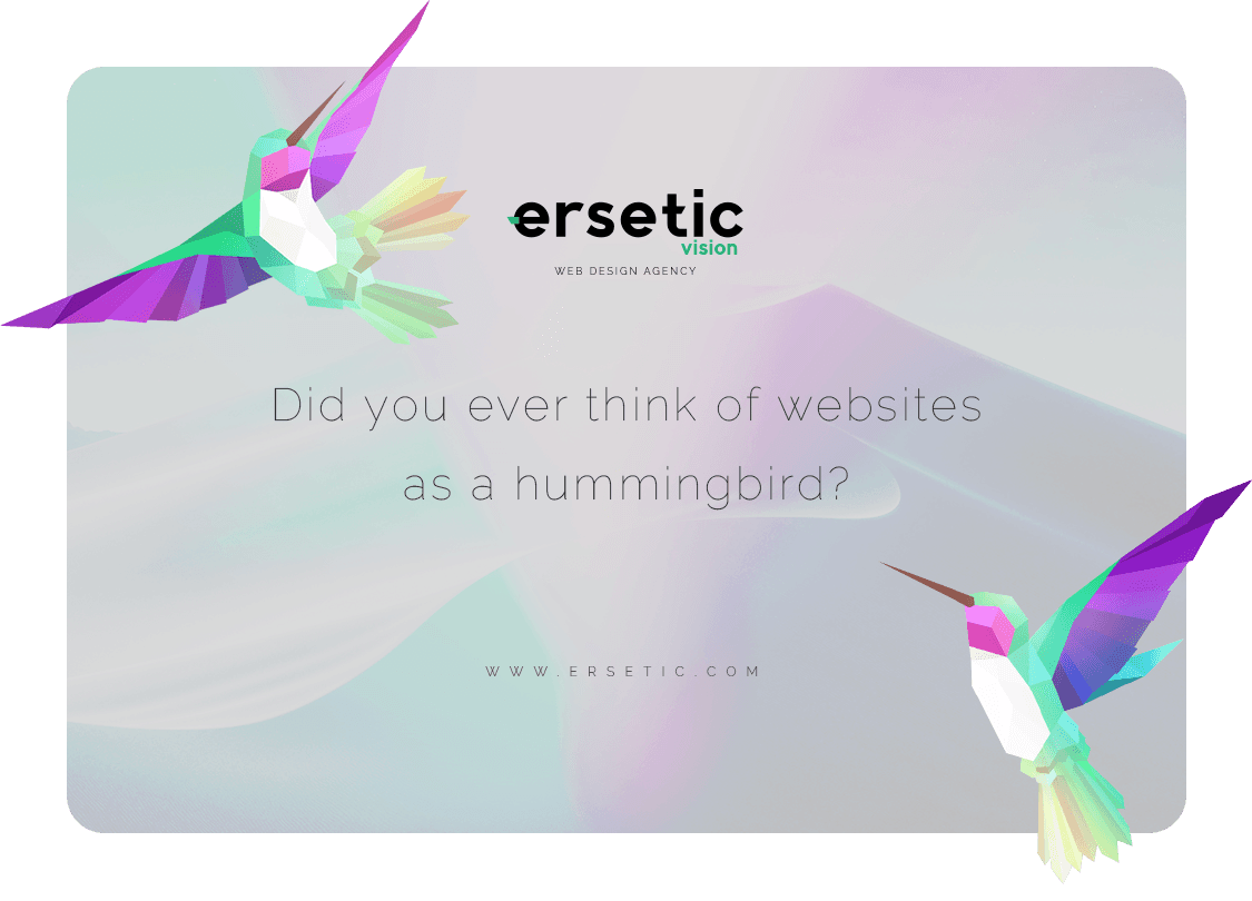 ersetic vision