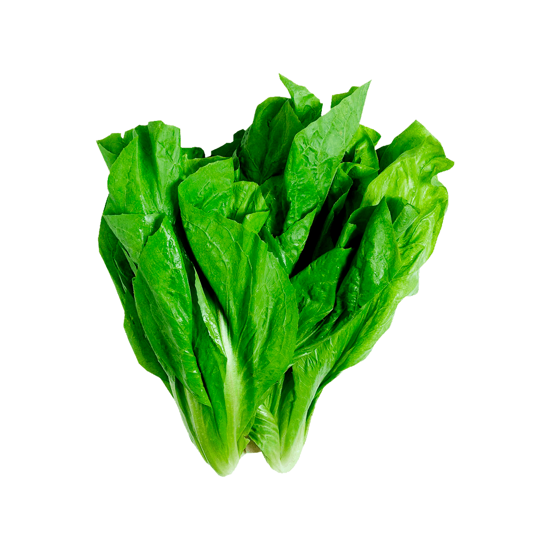 almeirao-folha-larga