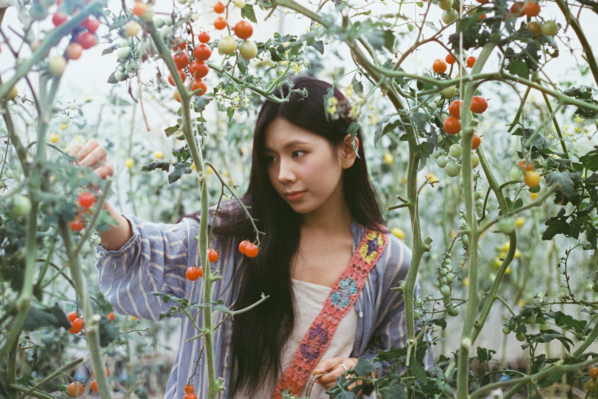 The organic farm scene