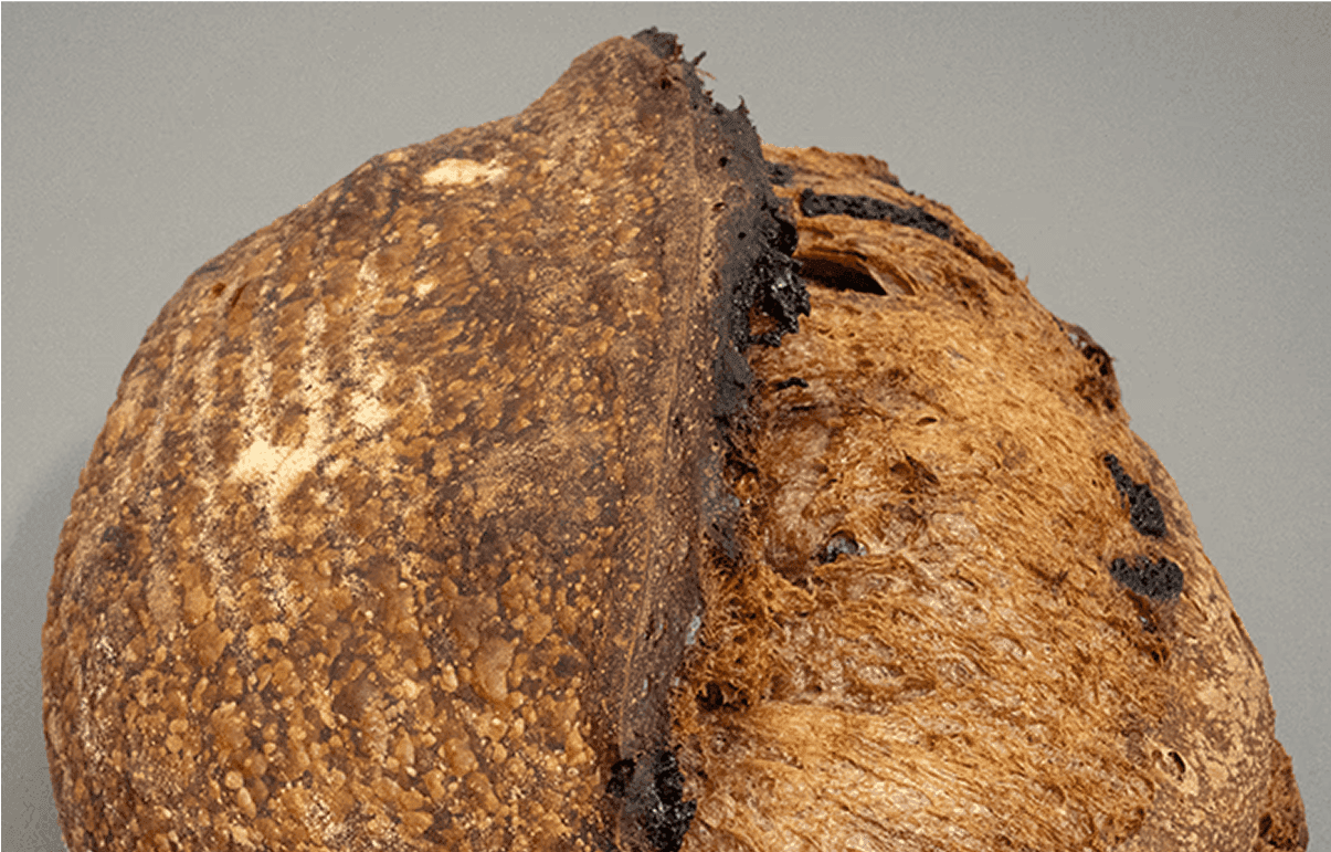 Hogaza de masa madre con cacao y trozos de chocolate, fermentada naturalmente.