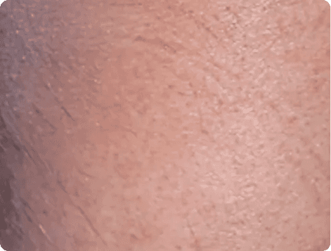 An image of Freelio's project ui