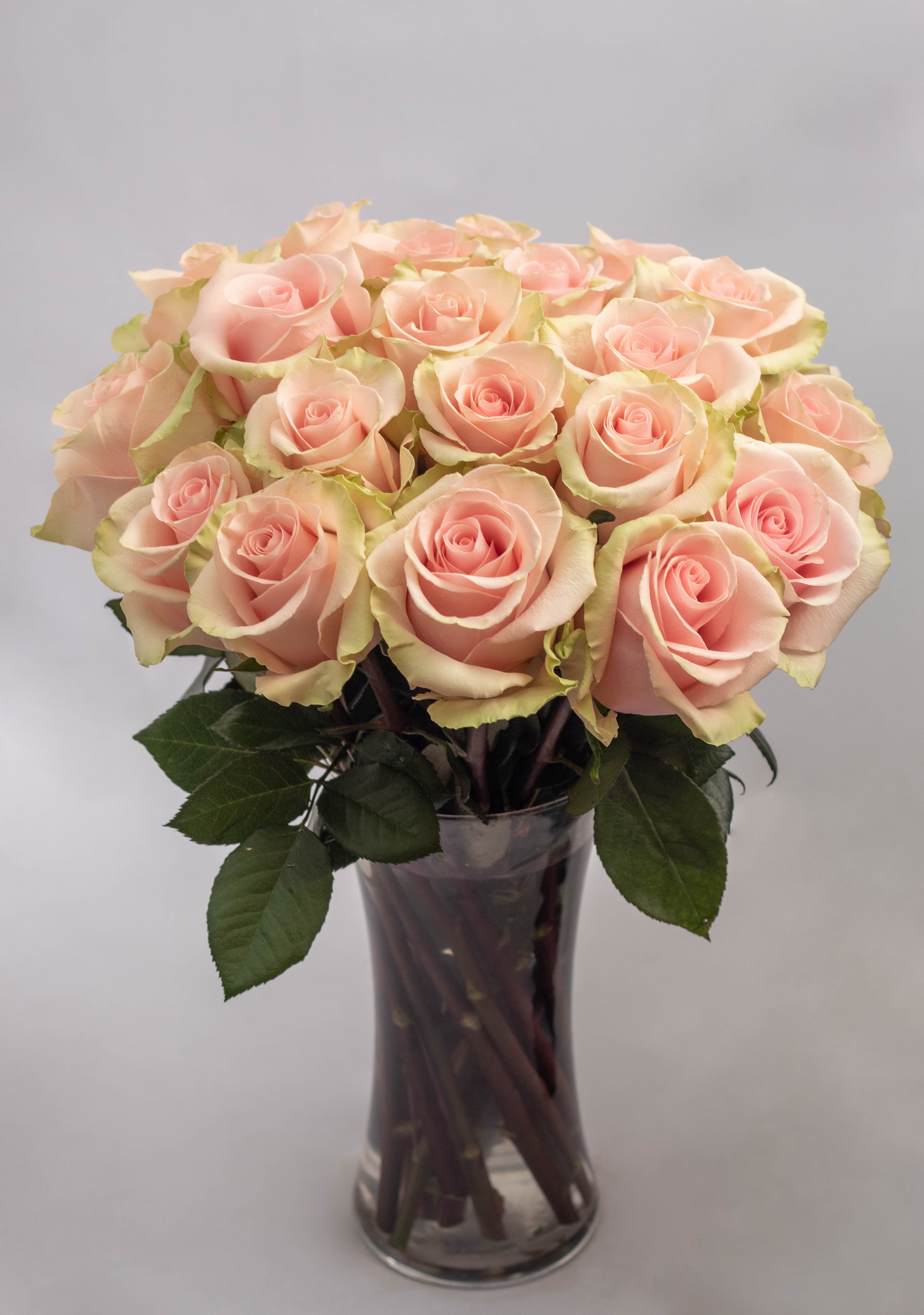 white chair near white wall