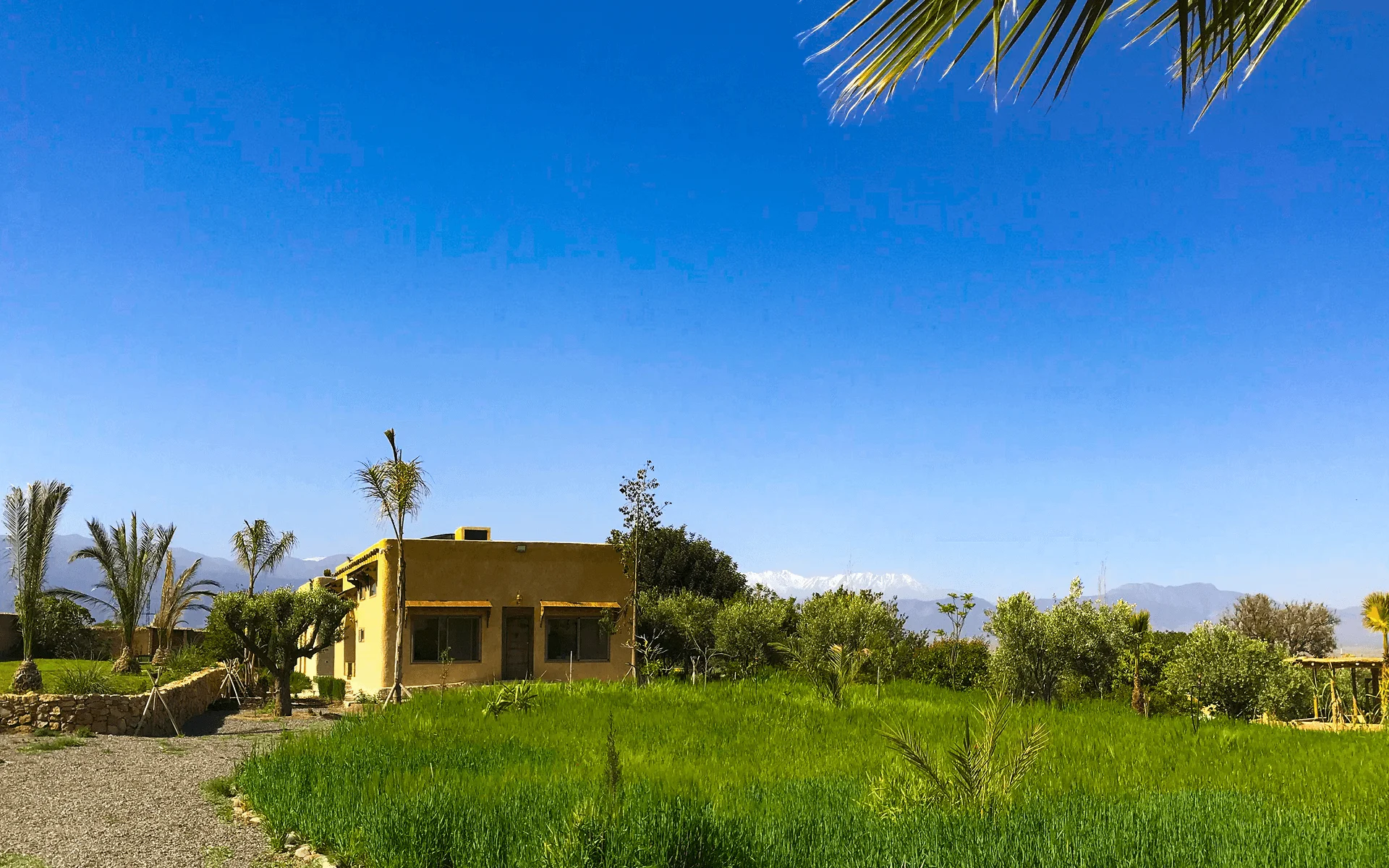 Bellevoire Architecture design