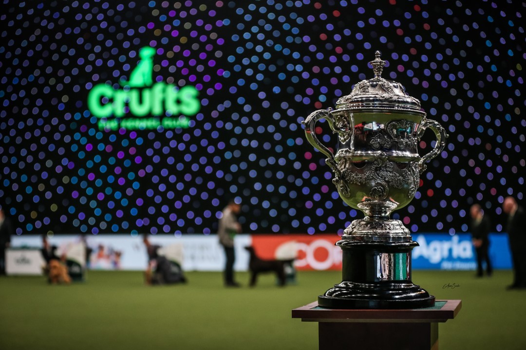 The Crufts Trophy