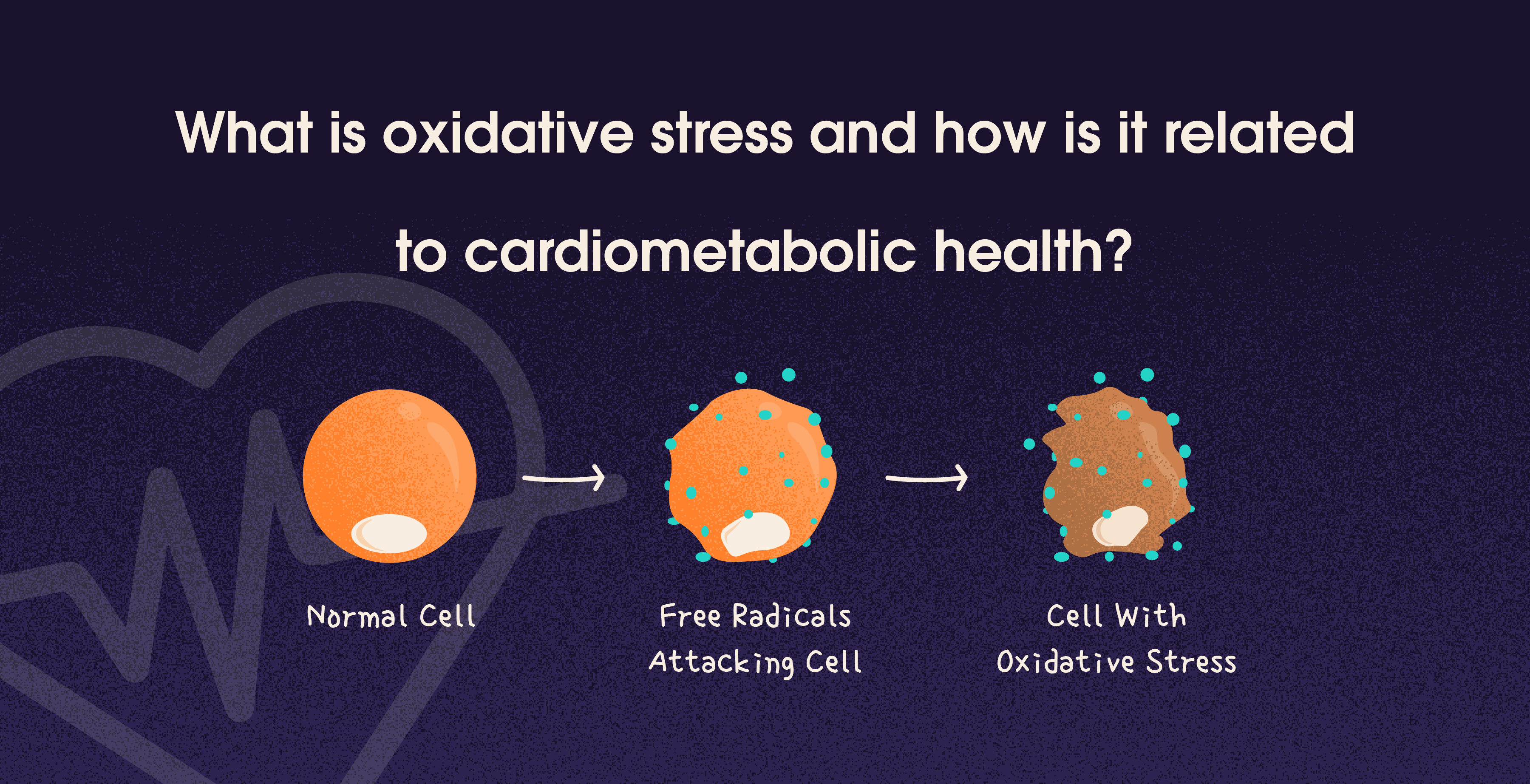 Infographic illustrating the relationship between oxidative stress and cardiometabolic health, with images of healthy foods, exercise, and a healthy heart