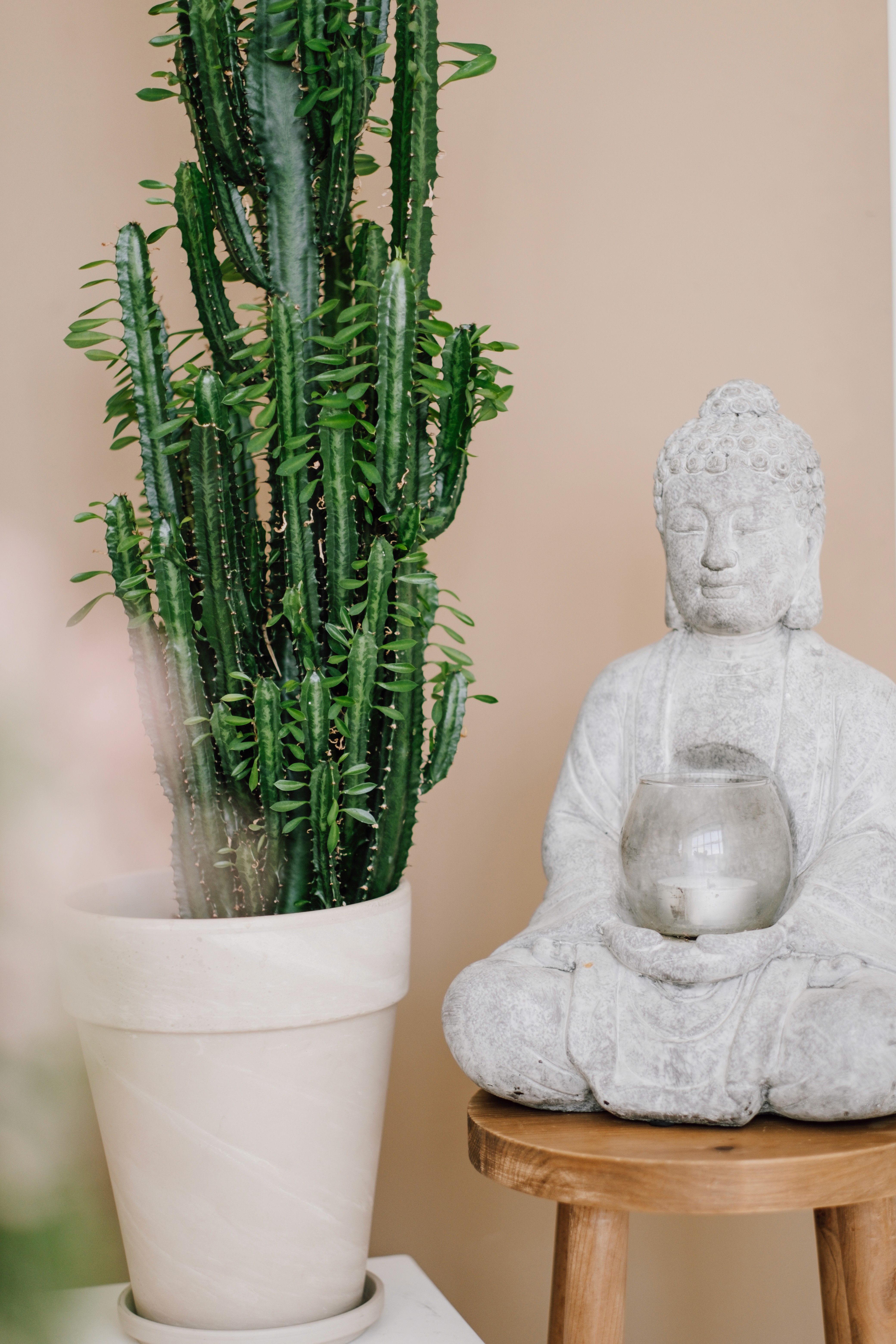 Buddhakerze und Kaktus vor beigem Hintergrund
