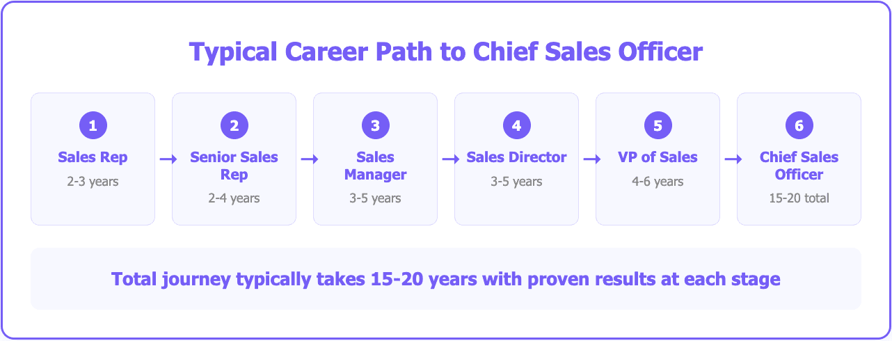 CSO career path