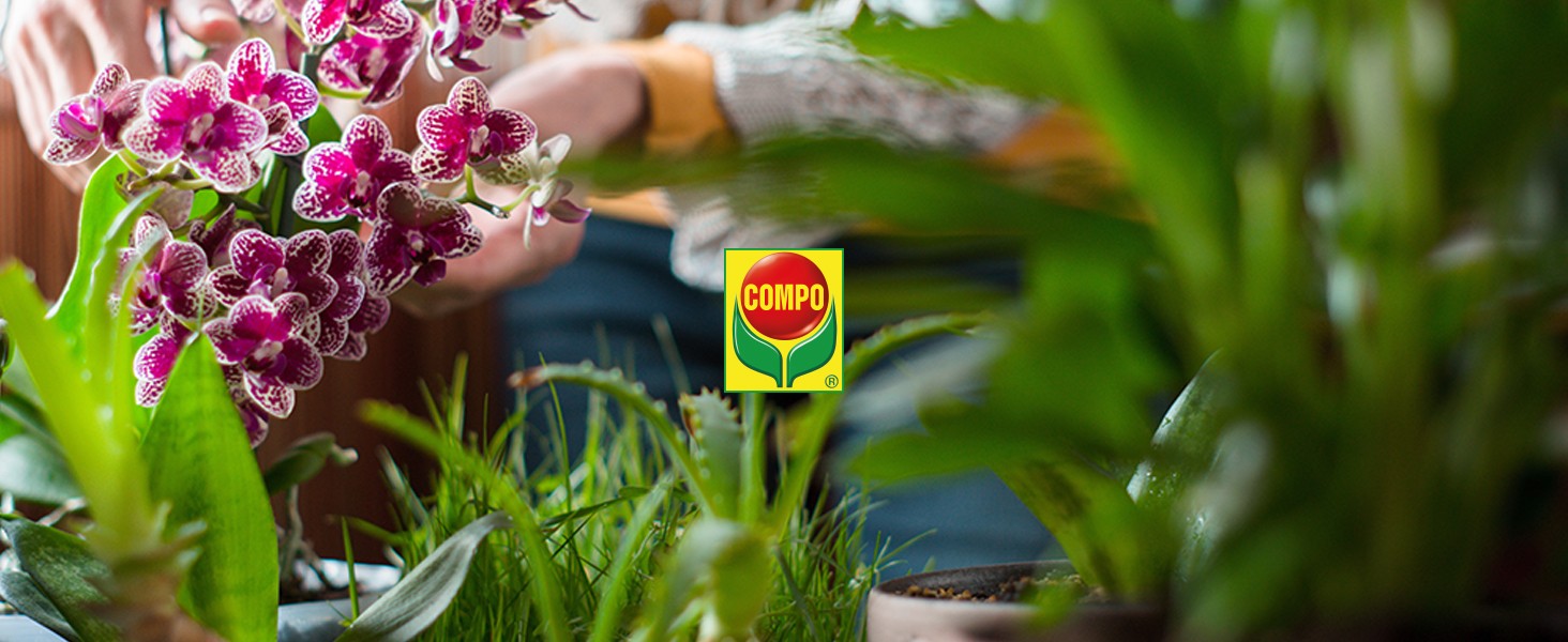 Fertiliser application in a spring garden