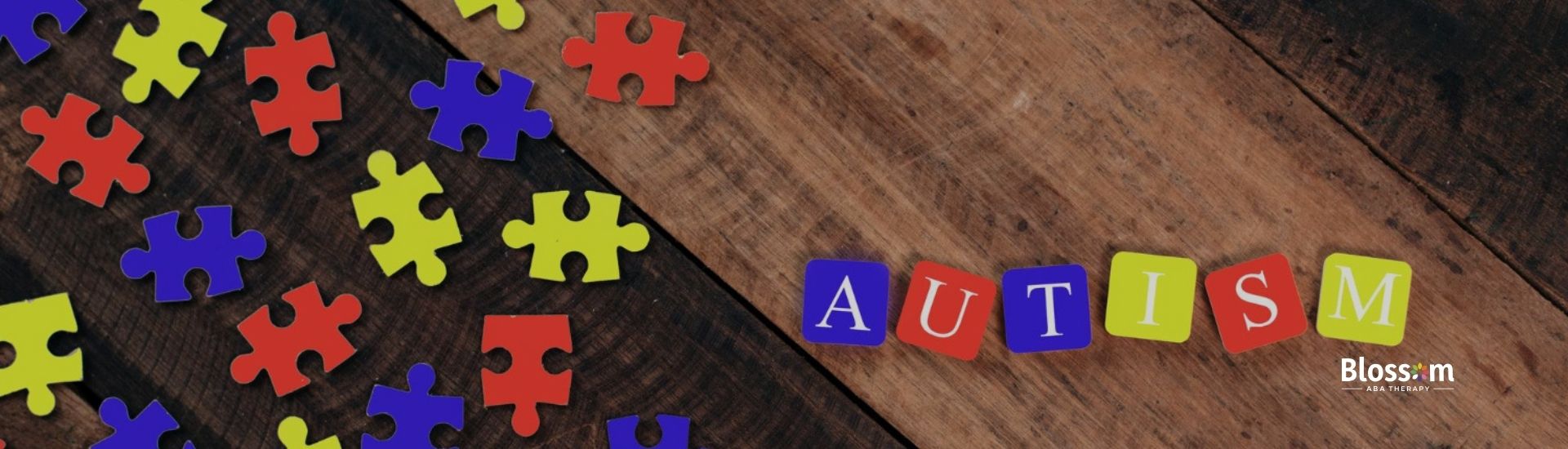 Colorful puzzle pieces spelling "Autism".