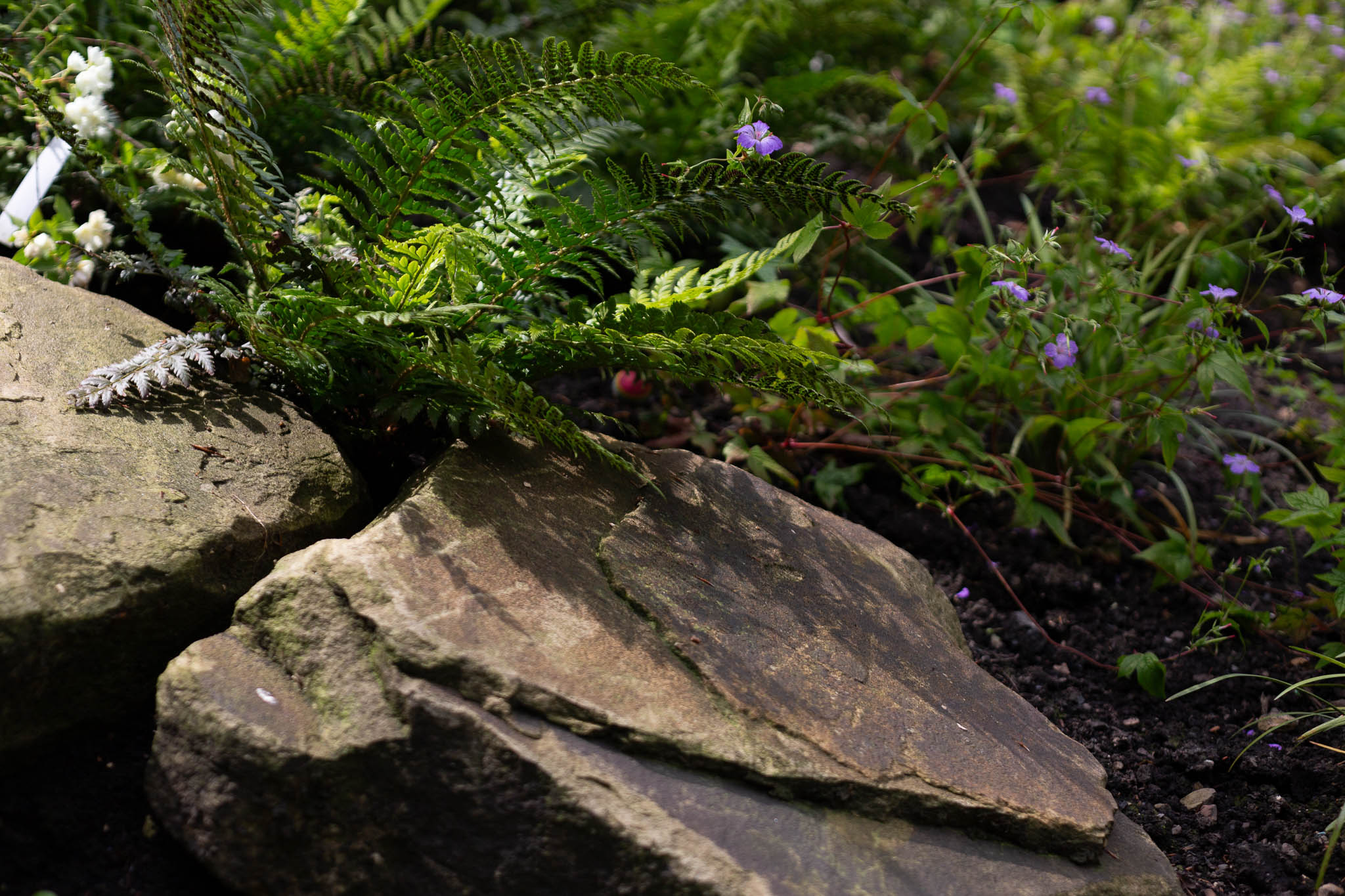 Contemporary outdoor Grillo kitchen with bar stools sits under a louvered metal pergola in a lush garden surrounded by vibrant green foliage and trees, creating a serene outdoor space.