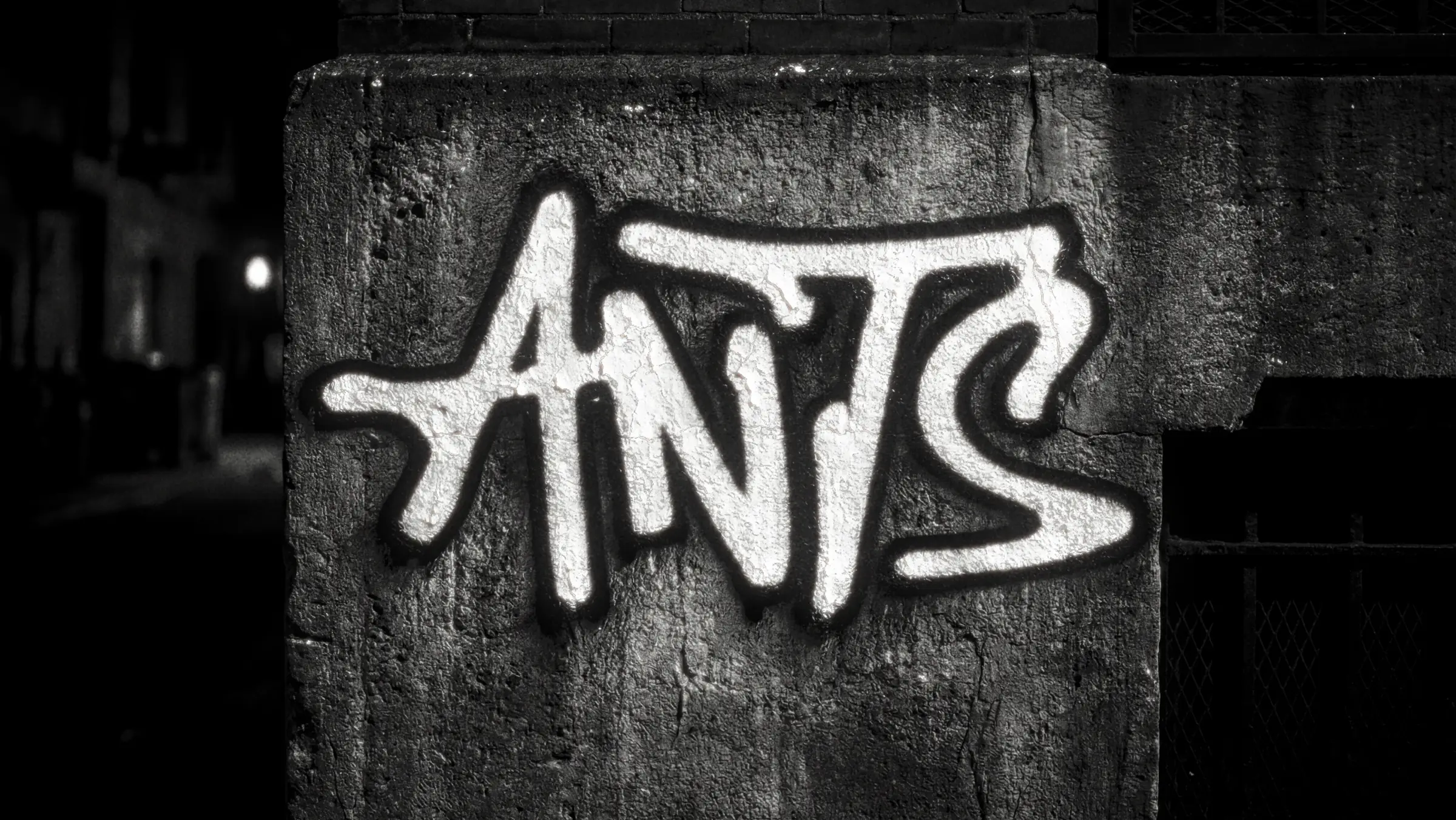 ANTS new logo idendity
