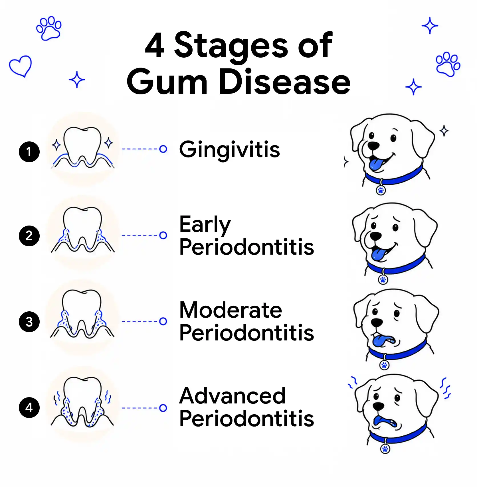 Stages of Gum Disease in Dogs